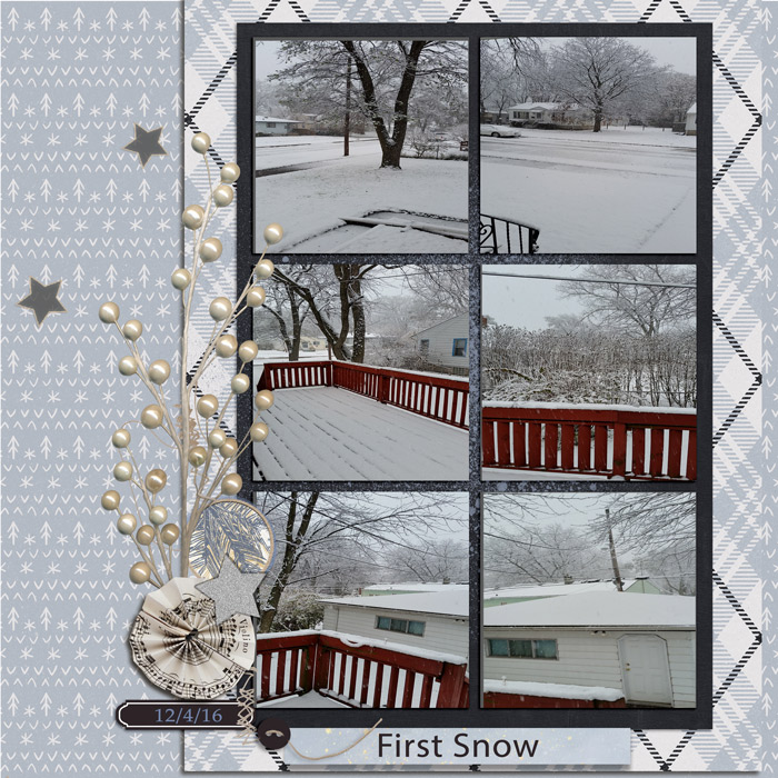 20161stsnow_byoc