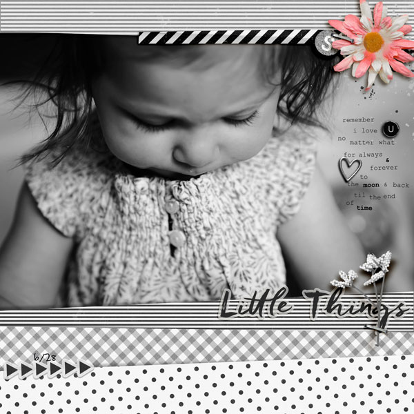 2017-6-28-stella-big-_3web