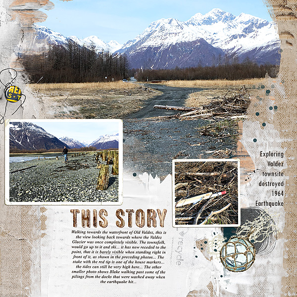 2017-Alaska-Trip-looking-toward-Glacier