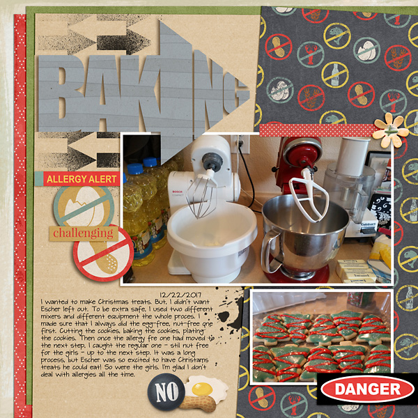 2017 Allergy Baking