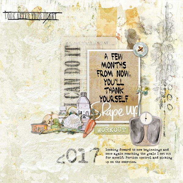 2017 Plan