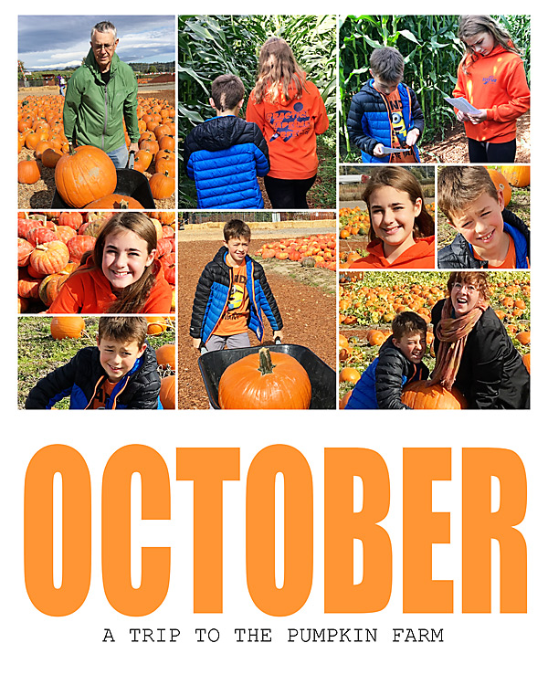 2017 Poster At The Pumpkin Patch