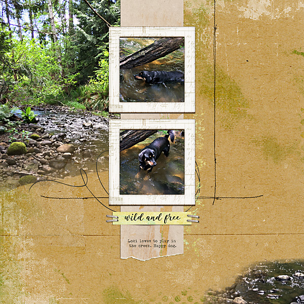 20170527_Loki in our creek