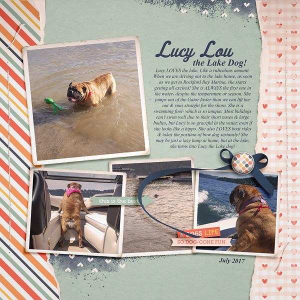 2017_7_Lucy Lou the lake dog
