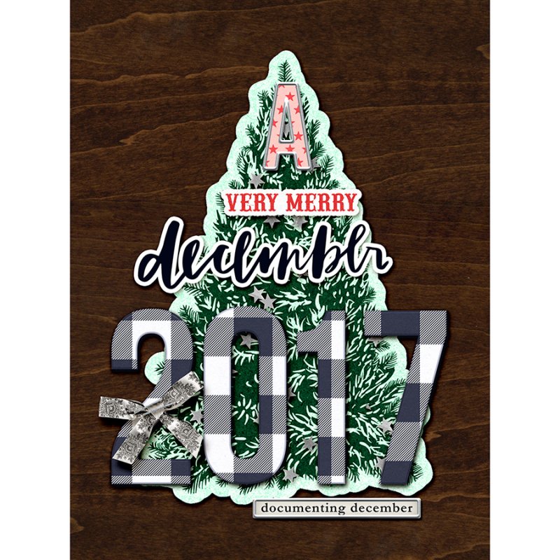 2017DYDCover
