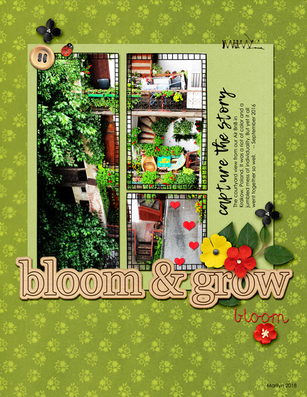 2018-05_May-TLP_Slow-Scrap_0504_web