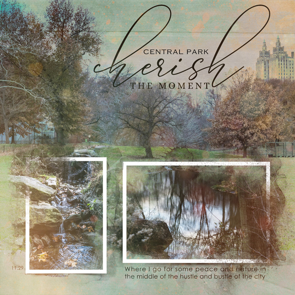 2018-11-29-central-park_600web