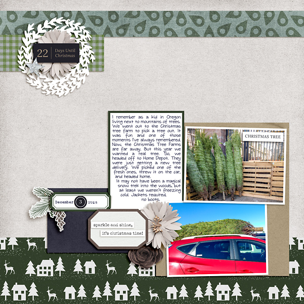 2018-Dec-Christmas-Tree-Picking-copy