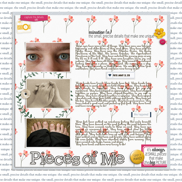 2018-Pieces-of-Me-copy