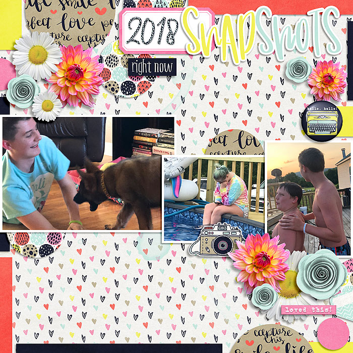 2018 Snapshots