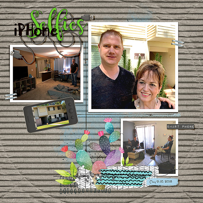 2018-Trip-to-Phoenix-@-josh's-p1