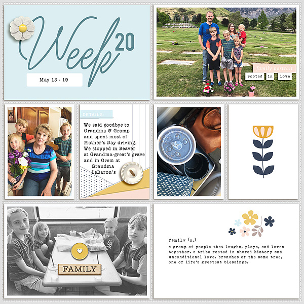 2018 Week 20 - left side