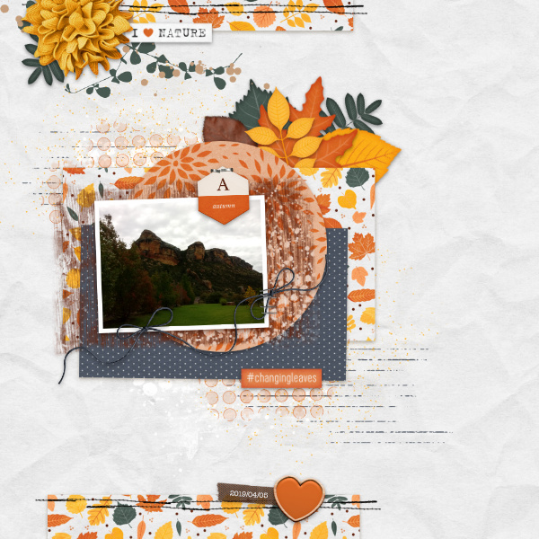 2019-04-05_ChangingLeaves