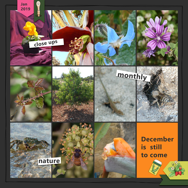 2019-close-ups