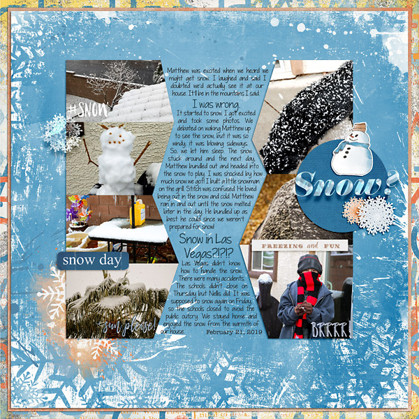 2019-Feb-Snow-copy