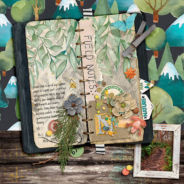 2019 Field Notes Lincoln Park