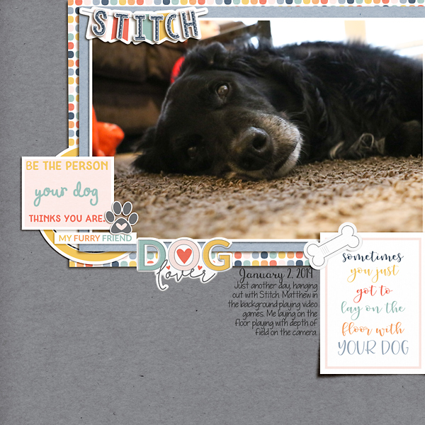 2019-Jan-Stitch-copy