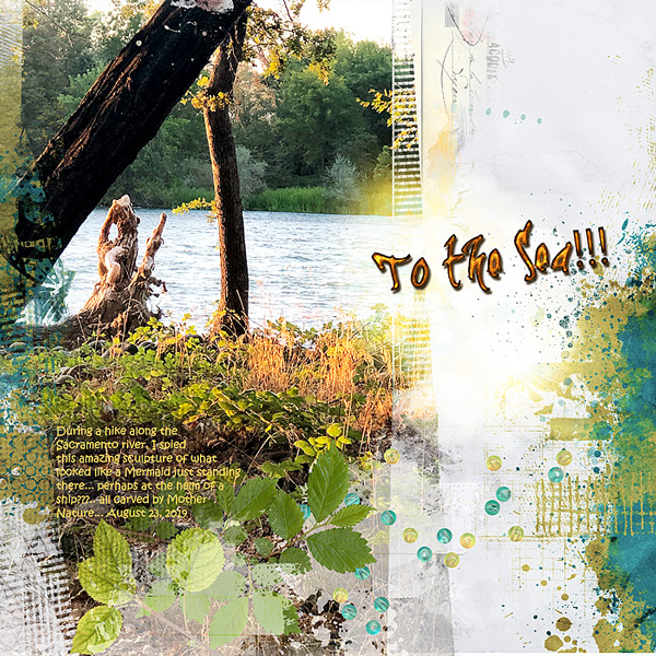 2019-Natures-Mermaid-Speed-Scrap-Sat