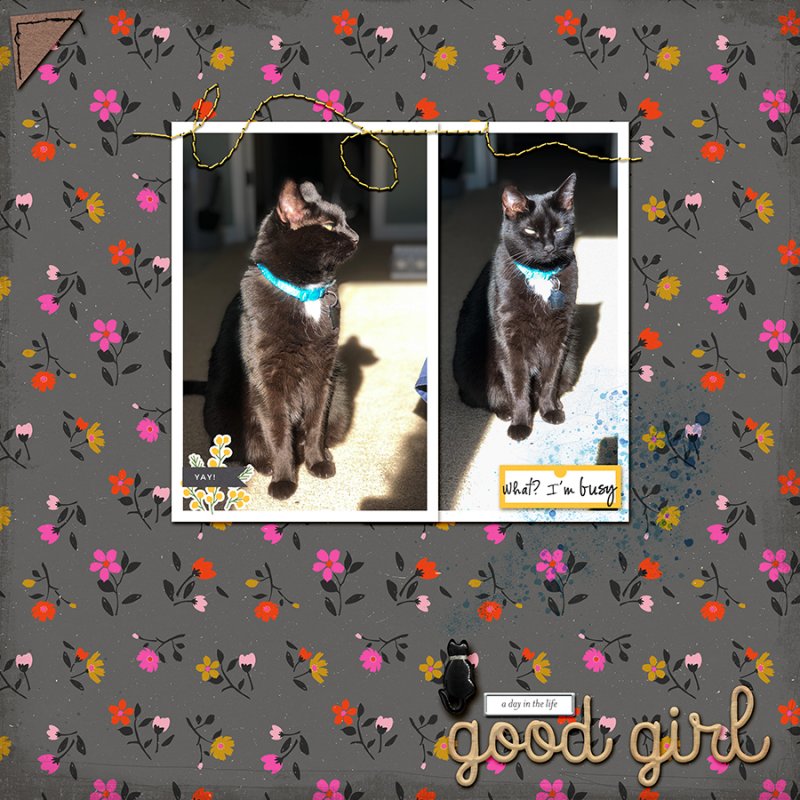 2019MOC2GoodGirlPC