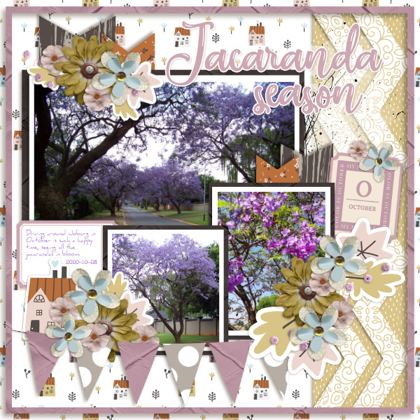 2020-10-28_Jacaranda
