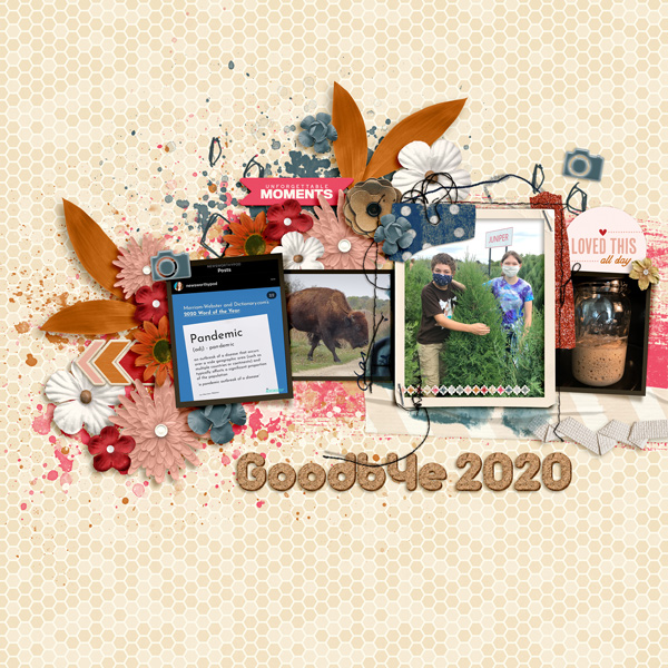 2020 Back-Cover MOC9 - 18