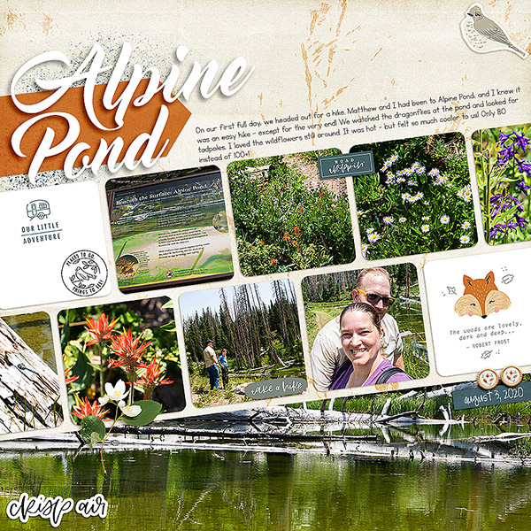 2020 BH Alpine Pond