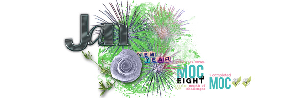 2020 January Siggy