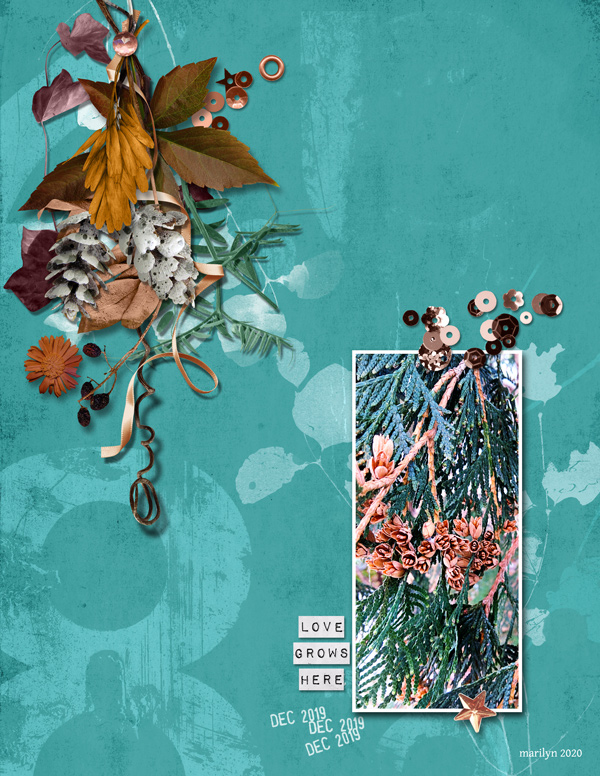 2020-MOC#21_Organic-Botanicals_web
