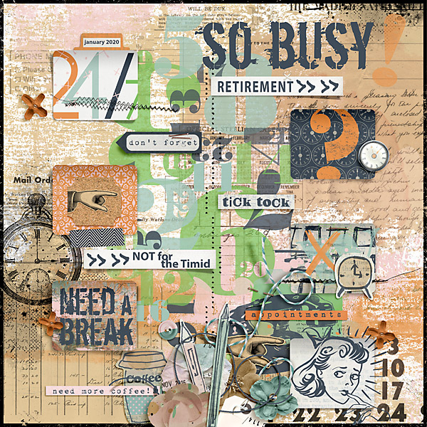 2020-Retirement-Not-for-the-Timid---So-Busy