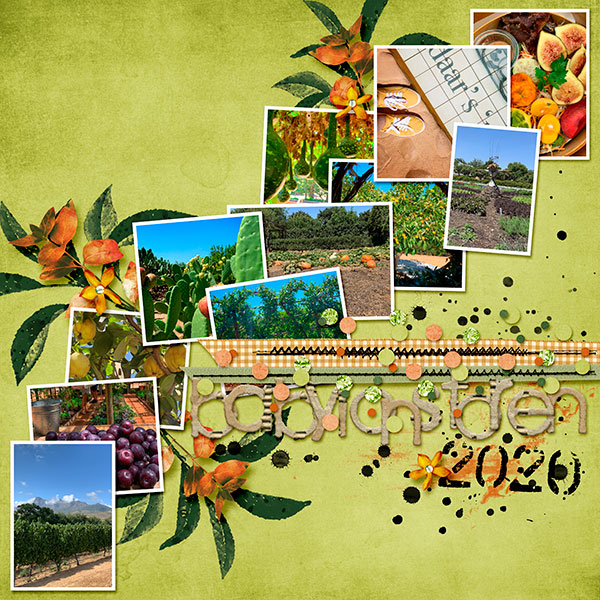 20200214_Babylonstoren-(web)