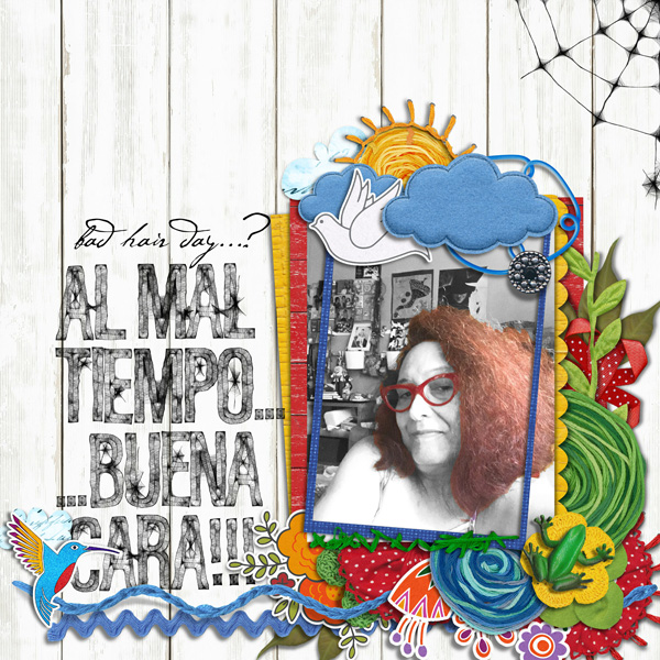 2020ViralChronicles_AlMalTiempoBuenaCara