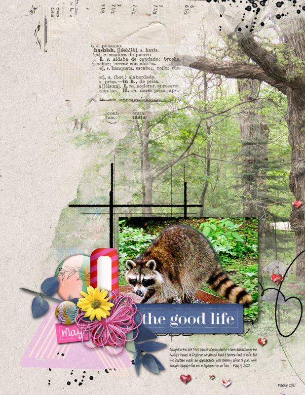 2021-05_May-TLP_0507-Slow-Scrap_NBK_web