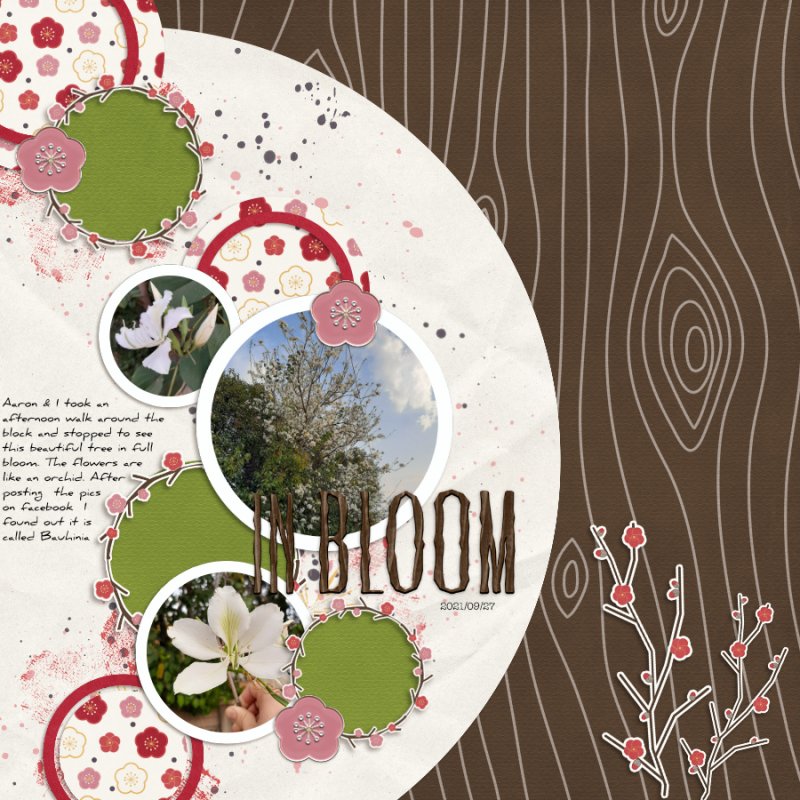 2021-09-27_InBloom