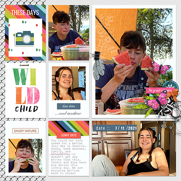 2021-Blue-Skies-and-Sunshine-and-Watermelon
