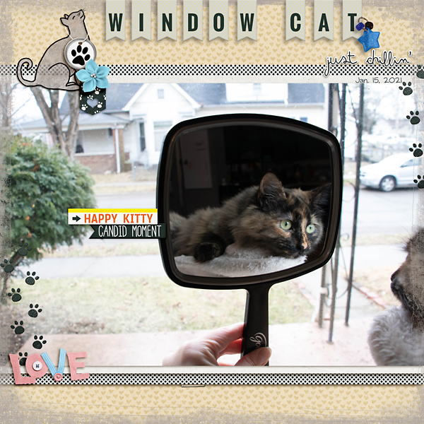 2021 Jan Window Cat