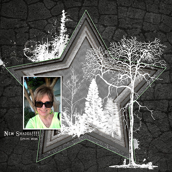 2021-Scraplift-New-Shades