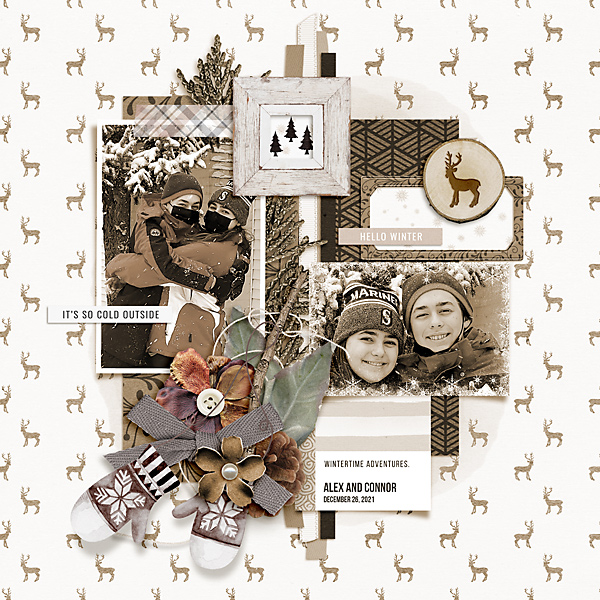 2021-Wintertime-Adventures