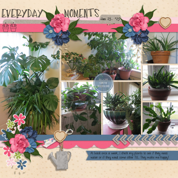 2022-Jan 22- Everyday Moments