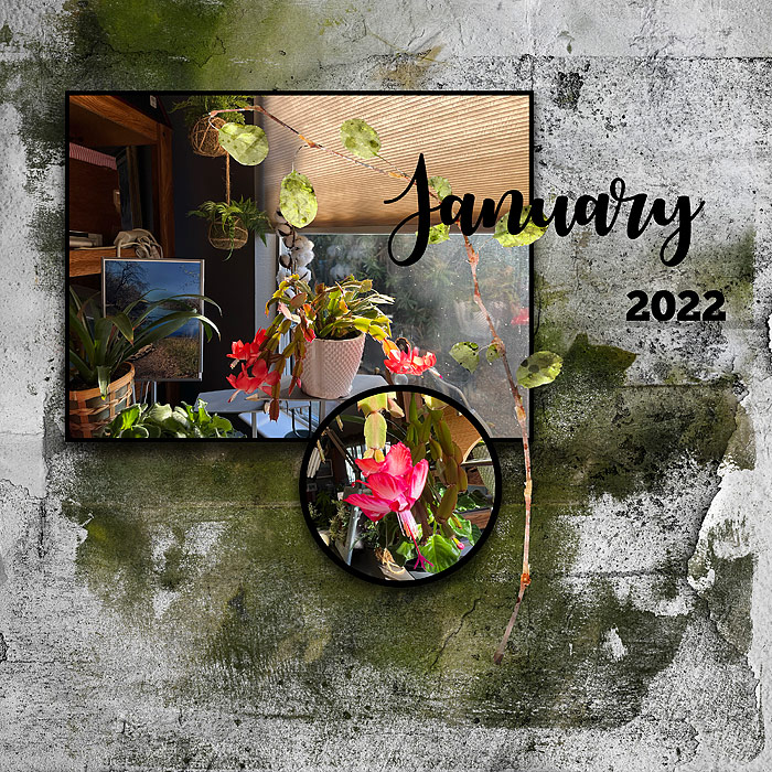 2022-January-flowers-copy
