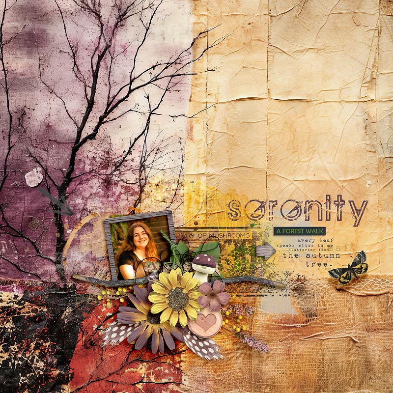 2022-Serenity-Lincoln-Park-Alex