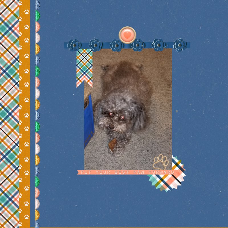 2022_02_19 Love Our Designers - Allison Pennington