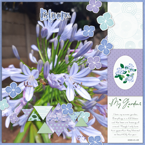 2023-01-03_MyGarden