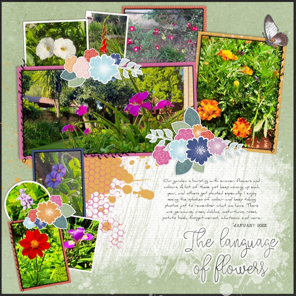 2023-01-31_TheLanguageOfFlowers