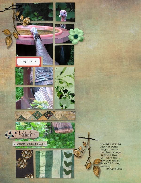 2023-08_August-TLP_0808_Speed-Scrap_web