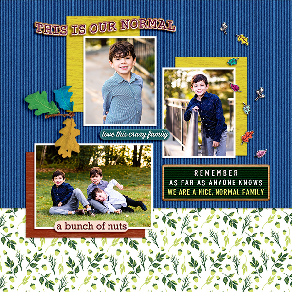 2023-11-20 ScrapliftNov2023