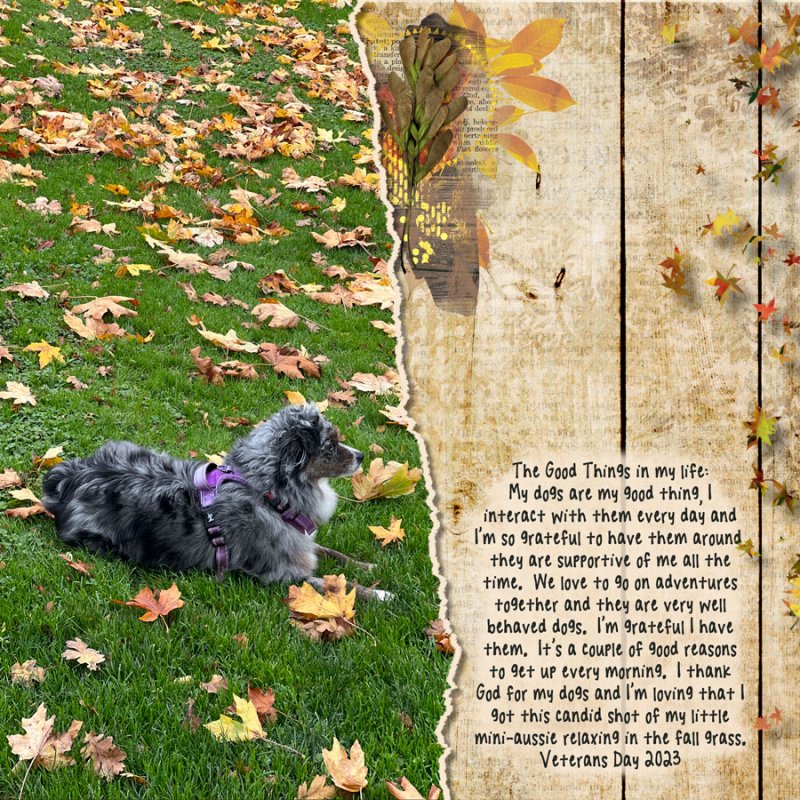 2023-11-TLP-Journaling-Challenge
