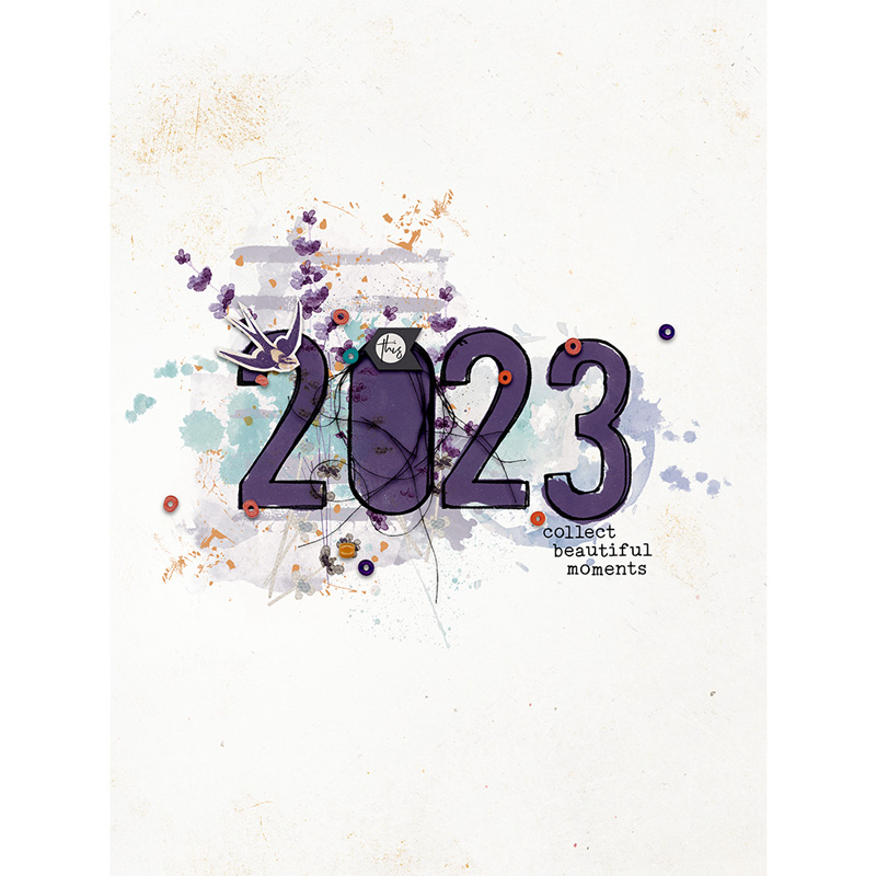 2023 collect beautiful moments