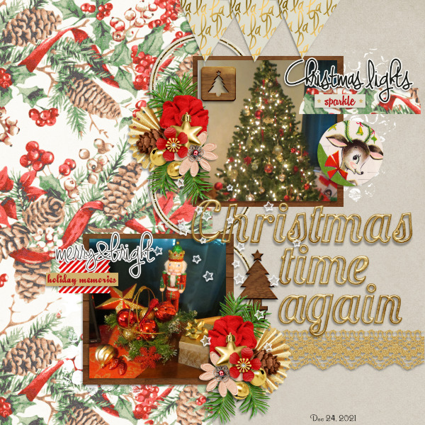 2023 DSD Slow Scrap