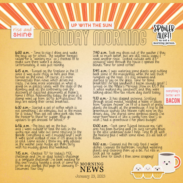 2023-Jan 17-Document Your Day
