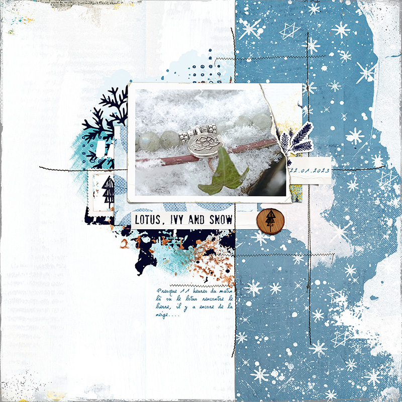 20230122-Lotus, Ivy And Snow